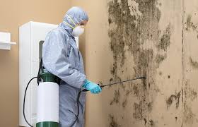 Best Mold Remediation for Healthcare Facilities in Hawaiian Beaches, HI